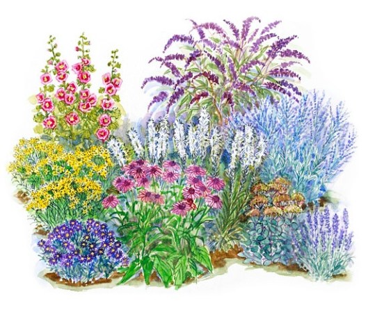 Tips on How to Invite Birds and Butterflies to Your Garden