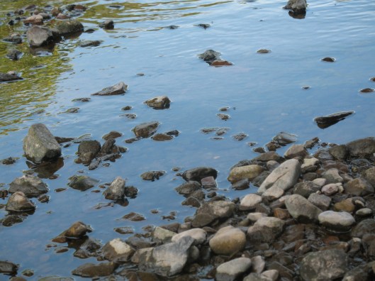 Inspiration Photo Friday: The Blue - © Melissa O'Connor-Arena