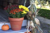 Tis' the Season for Autumn Decorating - © 2012 Melissa O'Connor
