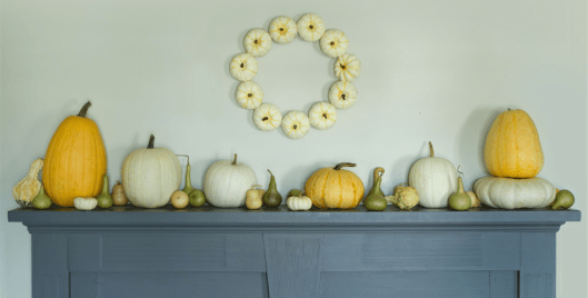 Fall Harvest Flavor at Terrain