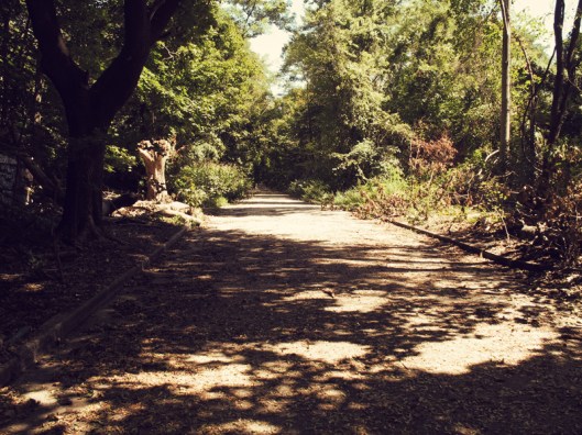 Historic Series: Seaview Hospital - © Melissa O'Connor-Arena Historic Series: Seaview Hospital - © Melissa O'Connor-Arena