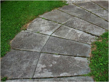 Guest Post: Creating Balance and Harmony at Home Using Feng Shui’s Five Elements