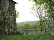 Inspiration Photo Friday: Earthy Green - © Melissa O'Connor-Arena