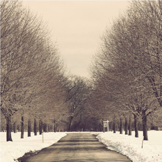 Inspiration Photo Friday: Winter Wonderland - © Melissa O'Connor-Arena