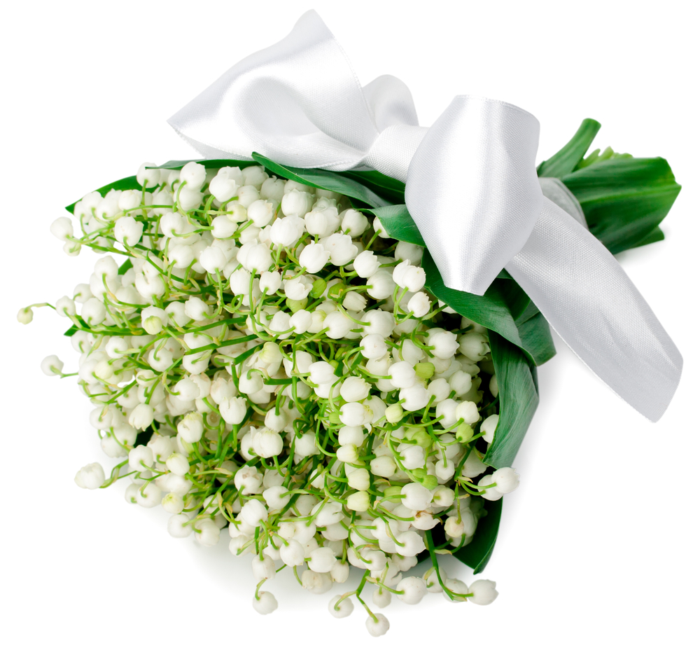 Guest Post: Christmas Flower Decorations