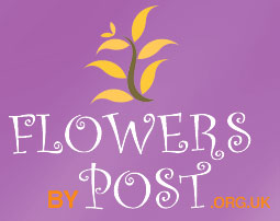 How to Make Flower Arrangements