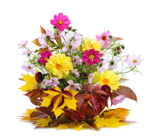 How to Make Flower Arrangements