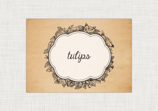 New Items in the Shop