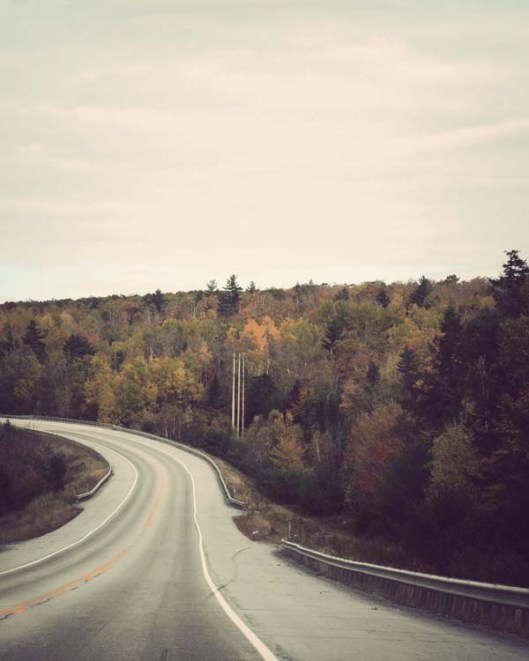 Inspiration Photo Friday: The Road Home - © Melissa O'Connor-Arena
