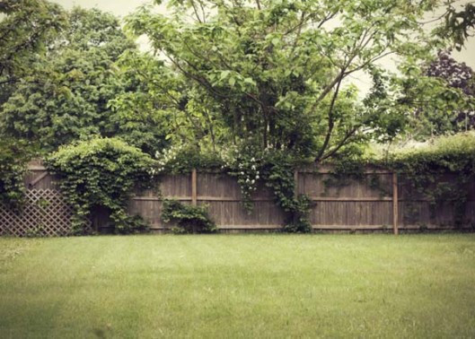 Inspiration Photo Friday: Timing