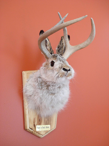 Guest Post: The Best of Hipster Decor Guest Post: The Best of Hipster Decor