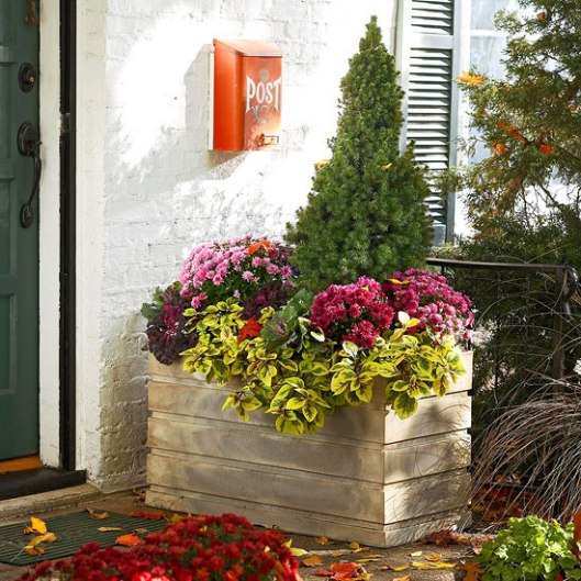 Open Your Door to Spring