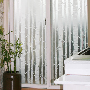 Guest Post: Glass Treatments