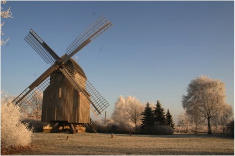 Celebrate the Return of Spring with Appropriate Colors