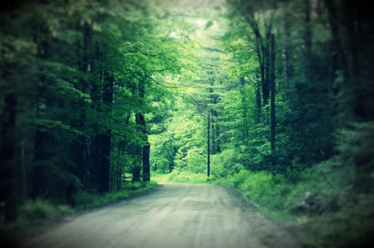 Inspiration Photo Friday: Tunnel Vision - © Melissa O'Connor-Arena