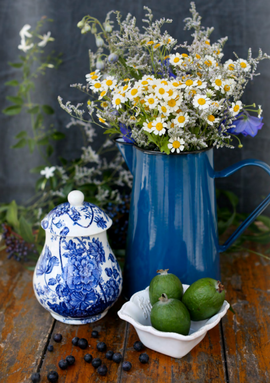 Magnolia Rouge & the Rustic Issue