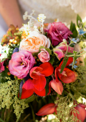 Magnolia Rouge & the Rustic Issue Magnolia Rouge & the Rustic Issue