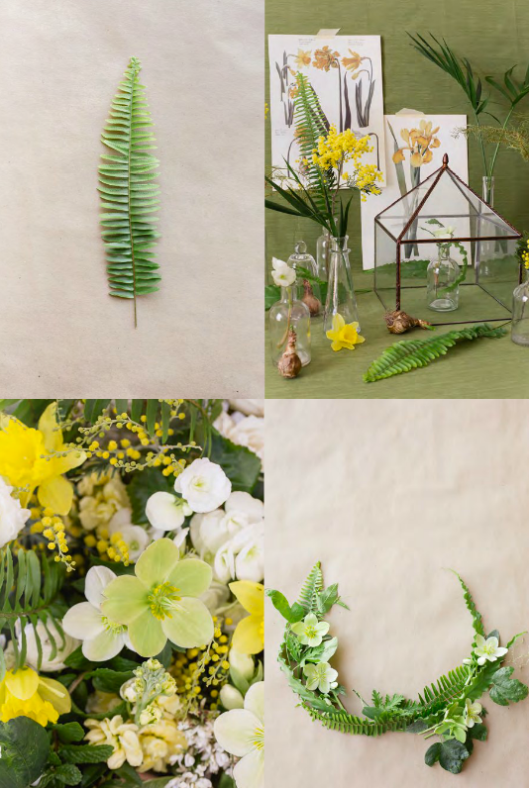 Magnolia Rouge & the Rustic Issue