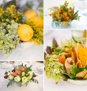 Magnolia Rouge & the Rustic Issue Magnolia Rouge & the Rustic Issue