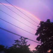 Inspiration Photo Friday: Beauty - ©  2012 Melissa O'Connor-Arena