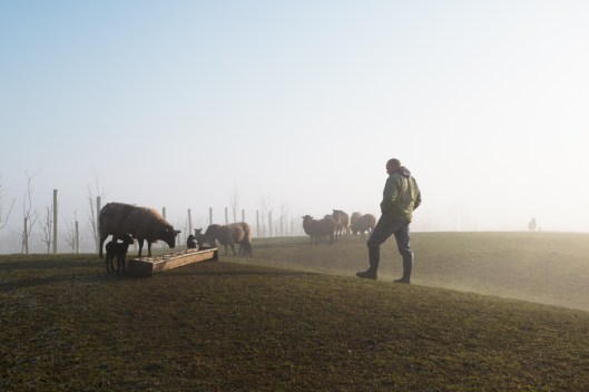 Farm Stories and Everything in Between - © Kelley Jordan Photography Farm Stories and Everything in Between - © Kelley Jordan Photography