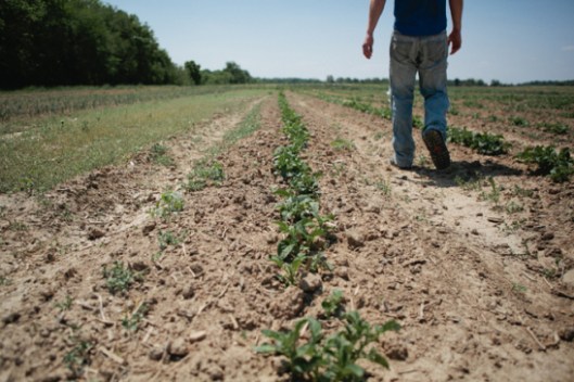 Farm Stories and Everything in Between - © Kelley Jordan Photography Farm Stories and Everything in Between - © Kelley Jordan Photography