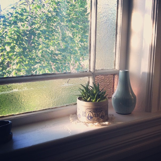 Inspiration Photo Friday: The Little Things - © Melissa O'Connor-Arena Inspiration Photo Friday: The Little Things - © Melissa O'Connor-Arena