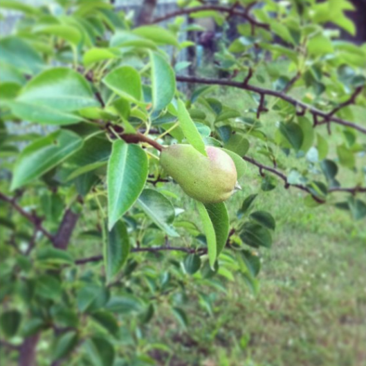 Inspiration Photo Friday: Seek and Discover - © Melissa O'Connor-Arena Inspiration Photo Friday: Seek and Discover - © Melissa O'Connor-Arena