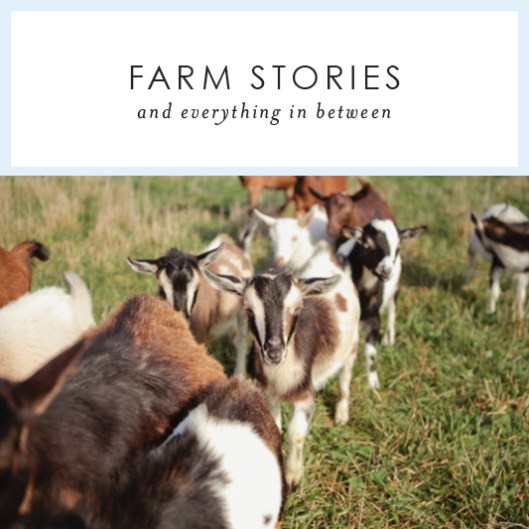 Farm Stories and Everything in Between