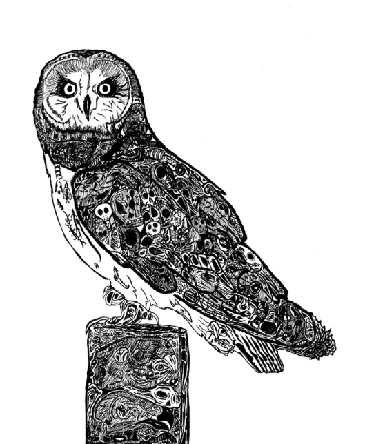 Featured Artist: Anthony Scutro - © Anthony Scutro