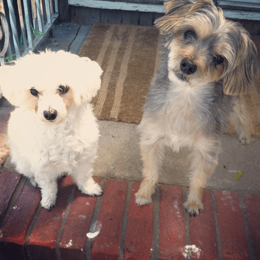 Inspiration Photo Friday: Babies Galore - © Melissa O'Connor-Arena Inspiration Photo Friday: Babies Galore - © Melissa O'Connor-Arena