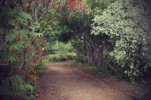 Inspiration Photo Friday: Autumn Adventures - © Melissa O'Connor-Arena