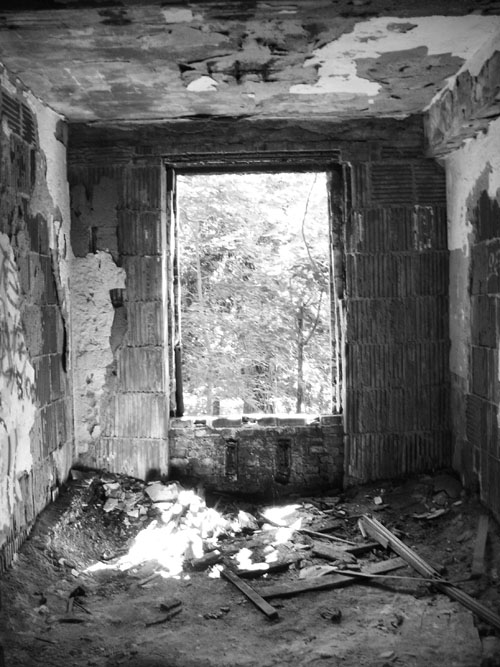 Inspiration Photo Friday: Time to Explore - © Melissa O'Connor-Arena