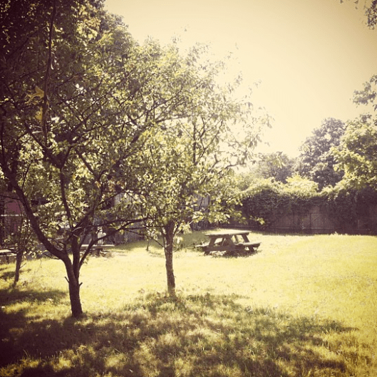 Inspiration Photo Friday: Falling in Love