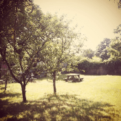 Inspiration Photo Friday: Falling in Love