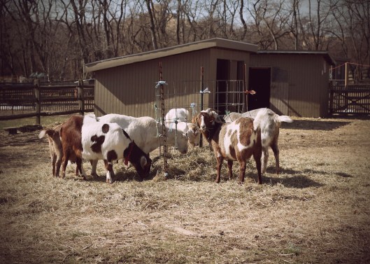 Inspiration Photo Friday: Weekend Fun - © Melissa O'Connor-Arena