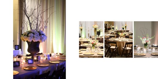 Claire + Parker - Wedding Album