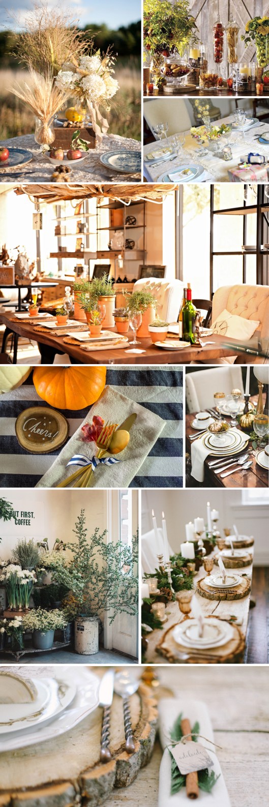 Whimsical Harvest Whimsical Harvest