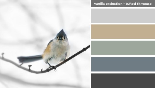 Art Inspired Palette: Vanilla Extinction-Tufted Titmouse Bird