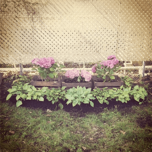 Backyard Makeover 2014