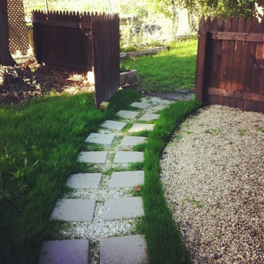 Backyard Makeover 2014