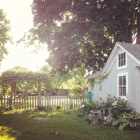 Backyard Makeover 2014