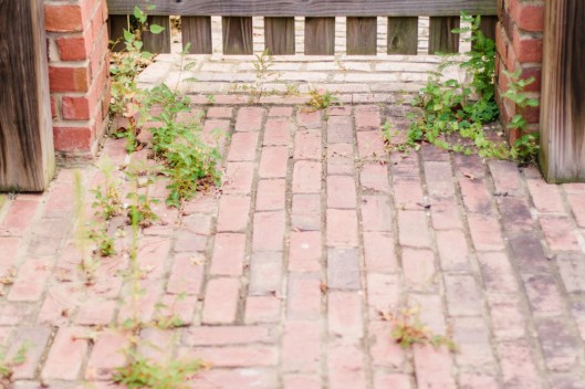 Autumn Backyard Wedding Inspiration