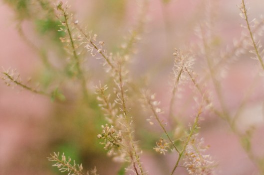 Autumn Backyard Wedding Inspiration