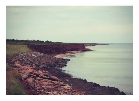 Minted + Domino Challenge Wins - The Sea Awaits