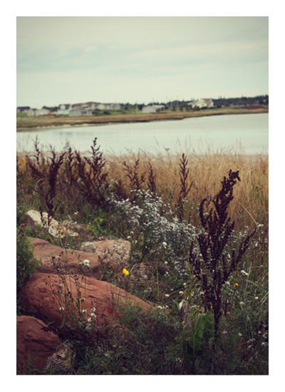 Minted + Domino Challenge Wins - Brackely Beach