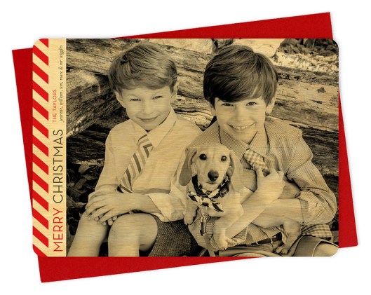 A Hoot of a Holiday Card Contest