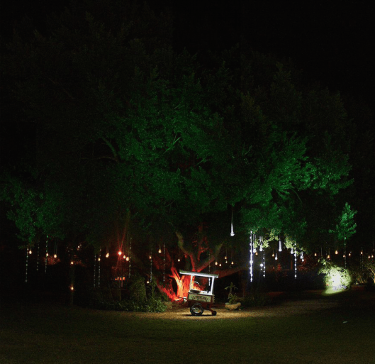 Katherine + Carlos - Wedding Album