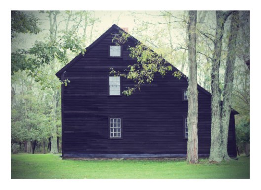 House Among the Trees by Gray Star Design