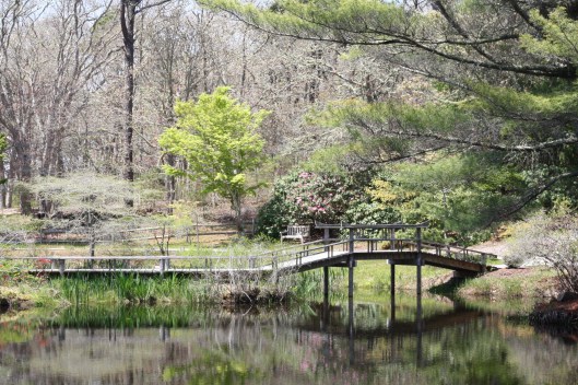 Vacay in Martha's Vineyard - Copyright Melissa O'Connor-Arena